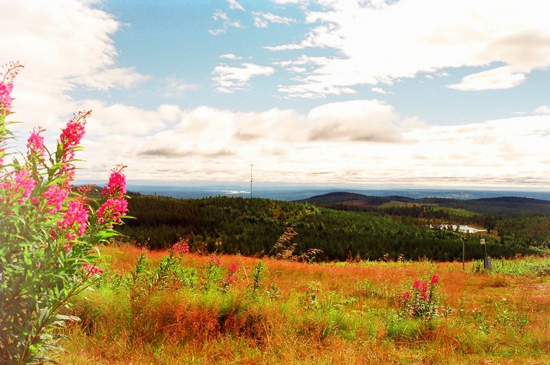 Grnklitt, Orsa, Ruotsi 12.8.2000.