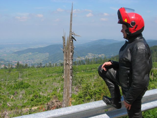 Paikoitellen "Mustassametsss" on syyst tai toisesta tuhoutuneita metsplnttej. Schwarzwald, Saksa.