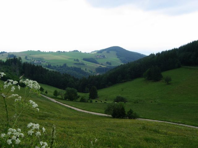 Matkalla Schauinsland-vuorelle. Schwarzwald, Saksa.
