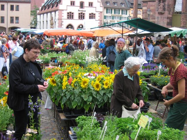 Freiburgin vilkas ja vriks tori. Freiburg im Breisgau, Saksa.