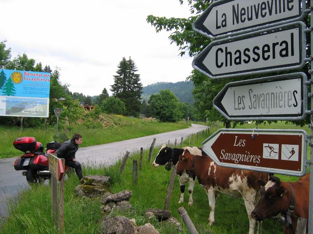 Muuu itsellesi! Savagnieres, Sveitsi.