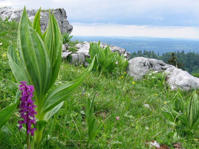 Col de Chasseral, Sveitsi.