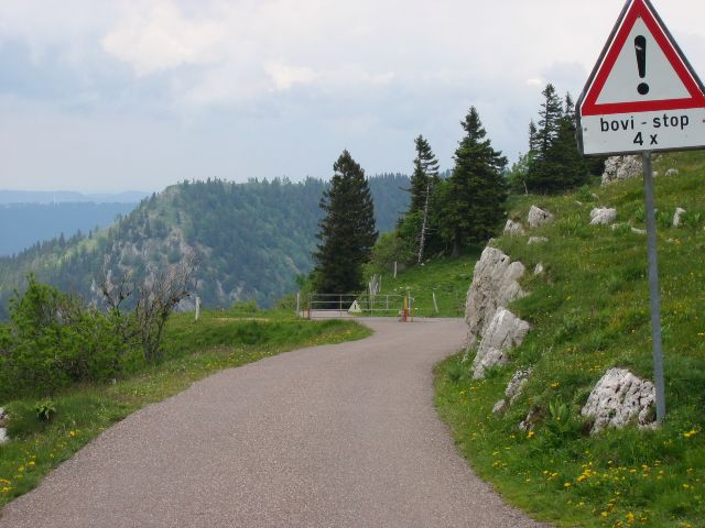 Bovi-stop on sveitsiläinen veräjän korvaava rakennelma, joka estää karjan pääsyn pois laitumelta, mutta mahdollistaa ajoneuvolla ajamisen. Col de Chasseral, Sveitsi.