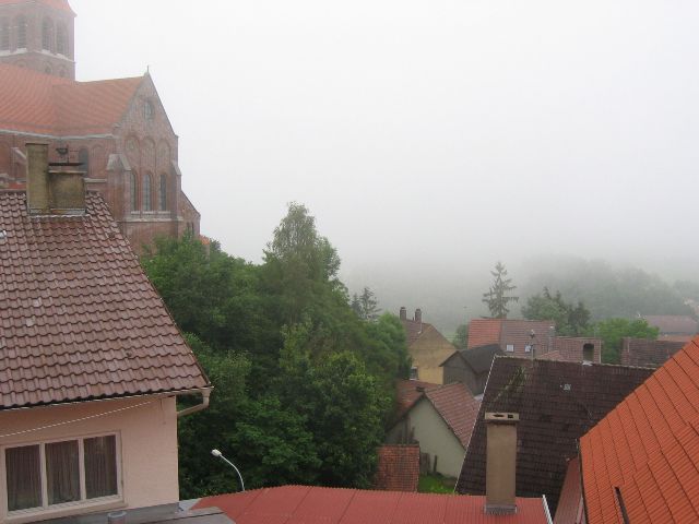 Kyl aamusumussa. Hundersingen, Saksa.