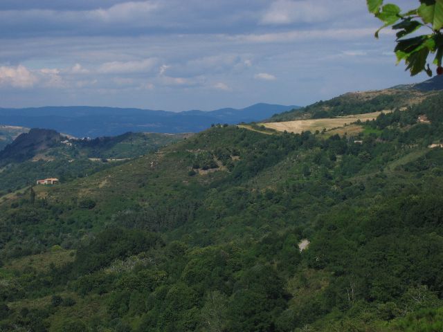 Cevennesin ja Ardechen rajamailla. Ranska.