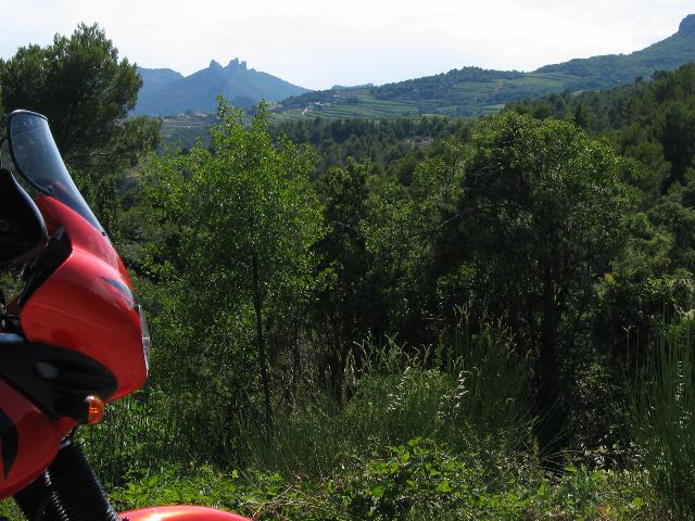 Taustalla Dentelles de Montmirail -vuoret. Ranska.