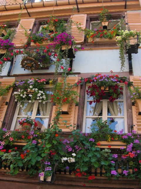 Kuinka nuo kaikki kastellaan? Colmar, Ranska.