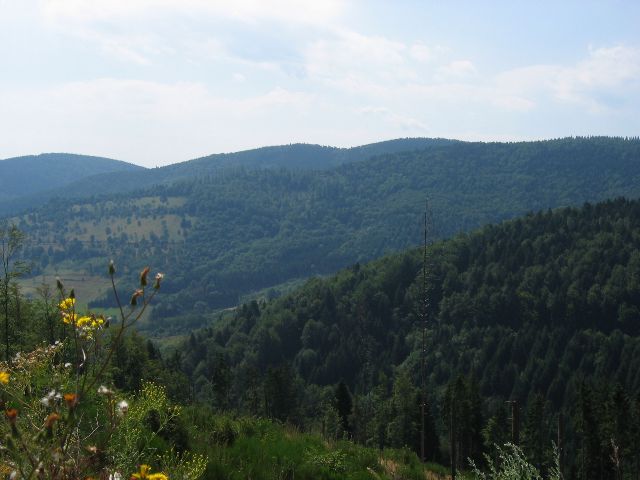 Vogeesien kumpuilevassa maastossa tiet eivt voi olla tikkusuoria. Climont, Ranska.