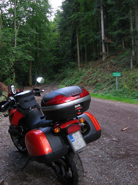 Pllystmttmikin teit lytyy Vogeeseilta. Col du Donon, Ranska.