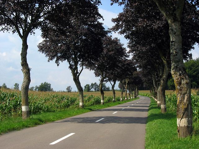 Hachiville, Luxemburg.
