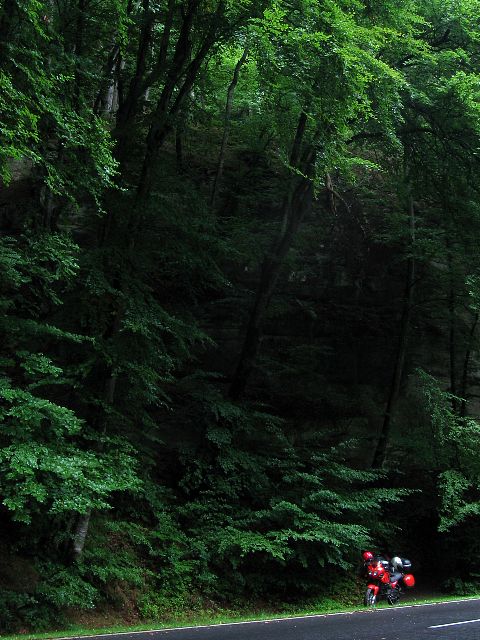 Mllerthal, Luxemburg.