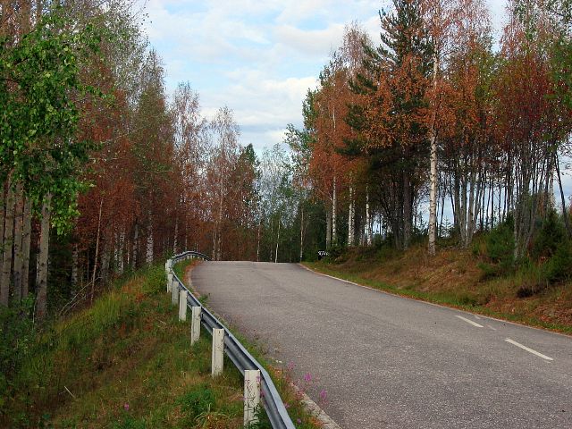 Vuonna 2006 ruska alkoi jo elokuussa. Rautalampi, Suomi.