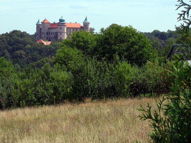 Nykyisin vankilakäytössä olevan Nowy Wisniczin linnan rakentaminen aloitettiin 1300-luvulla. Nowy Wisnicz, Puola.