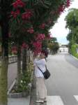 stresaitalia8_small.jpg
