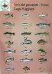 isoladeipescatoristresaitalia12_small.jpg