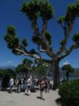 isoladeipescatoristresaitalia4_small.jpg